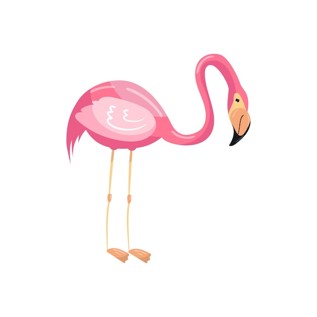 Roze flamingo exotische vogel vector illustration