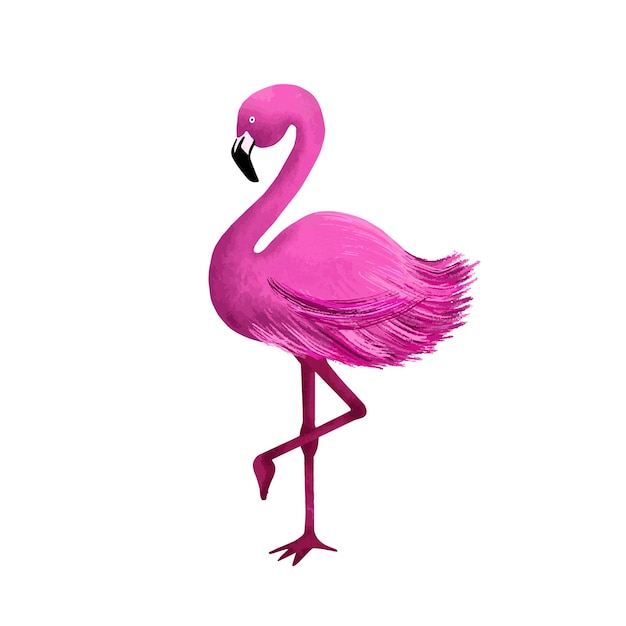 Roze flamingo hand getekende illustratie