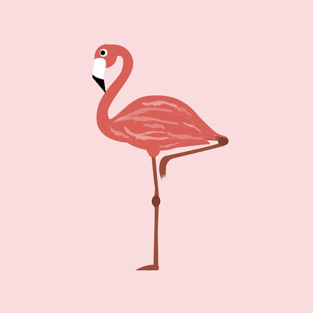 Roze flamingo op geïsoleerde achtergrond. Vector illustratie.