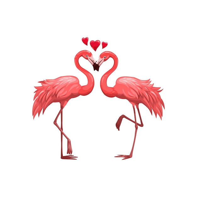 Roze flamingo's vector verliefde vogels