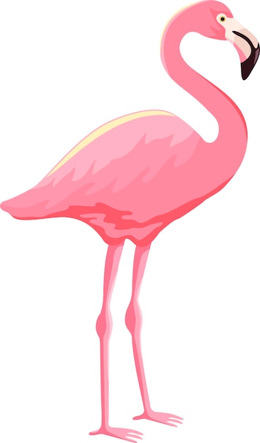 Roze flamingo vectorillustratie geïsoleerd op witte achtergrond Flamingo is een grote watervogel