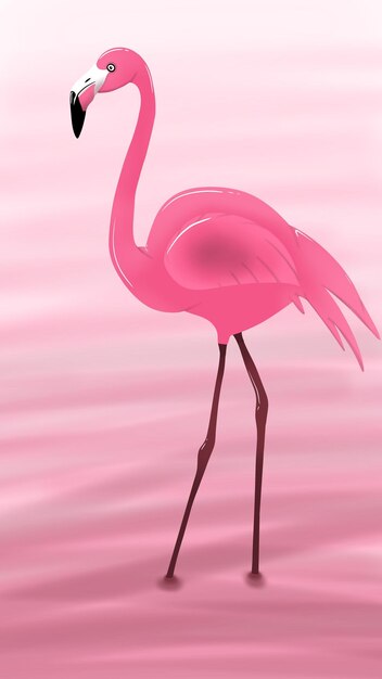 roze flamingo