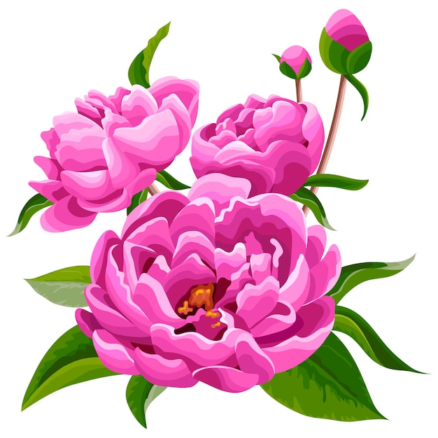 Roze pioen bloemboeket illustratie