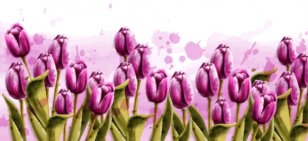 Roze tulpen lente achtergrond aquarel