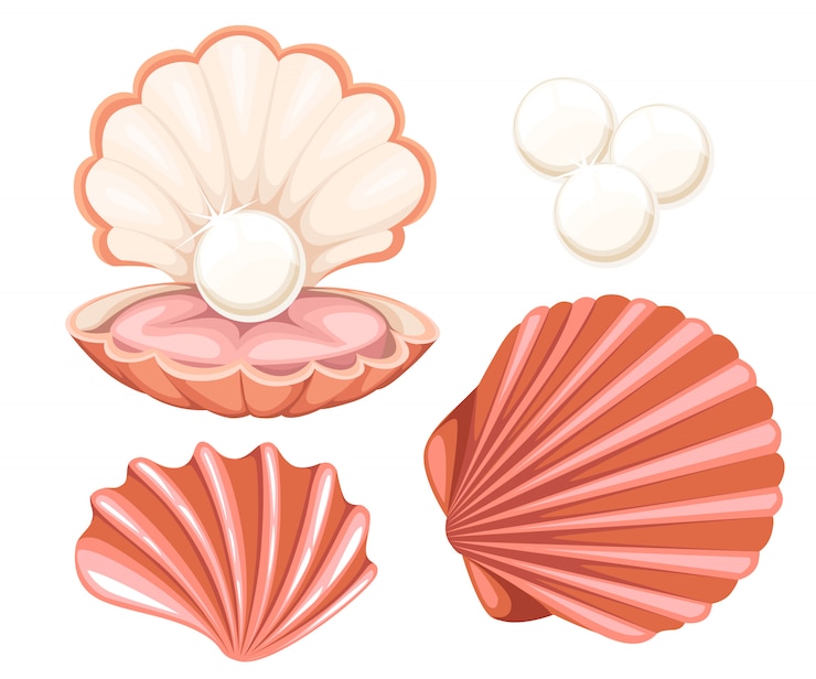 Vector roze zeeschelp met parel. illustratie op witte achtergrond.