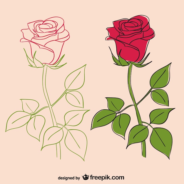 Vector rozen illustraties