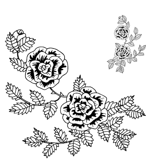 Rozen mooie luxe bloemen mode in een vectorillustratie