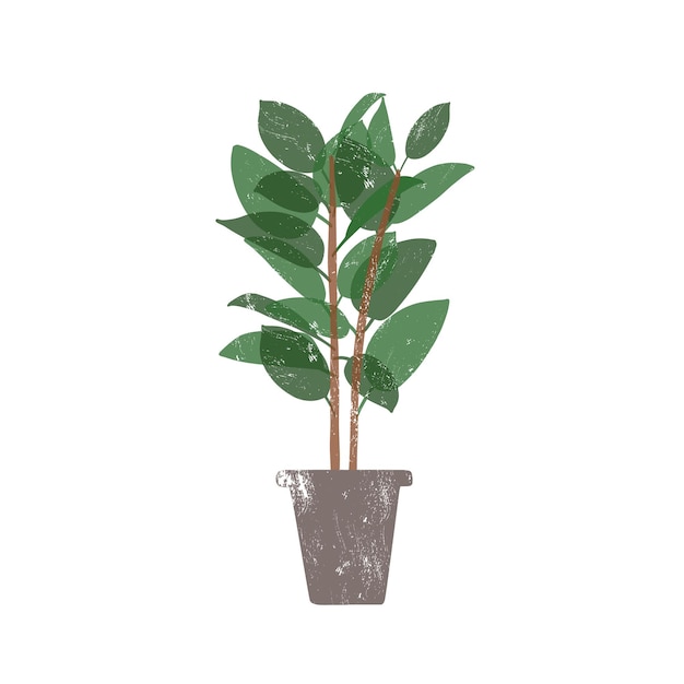 Rubberplant in keramische pot platte vectorillustratie. Ficus, trendy ingemaakte groenblijvende kamerplant geïsoleerd op een witte achtergrond. Binnenbloem, binnenlands decoratief groen. Ontwerpelement van rubberen bus.