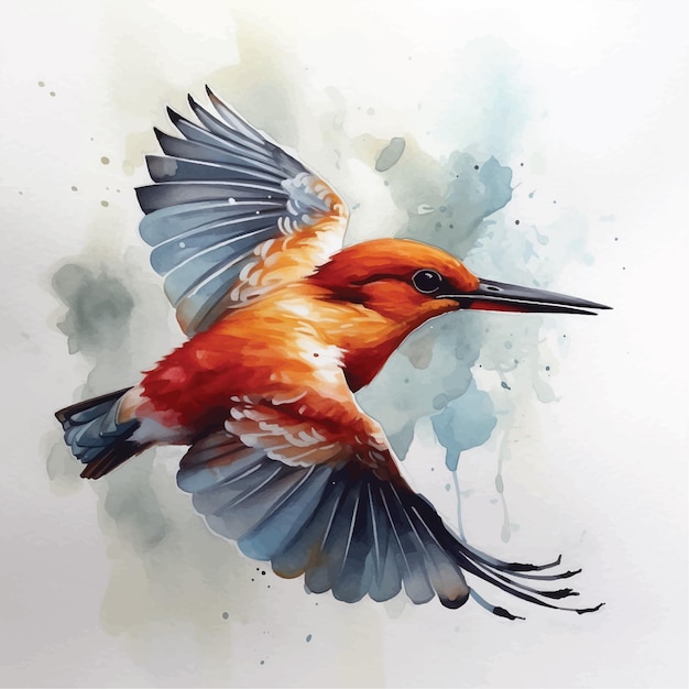 Ruddy Kingfisher aquarelverf