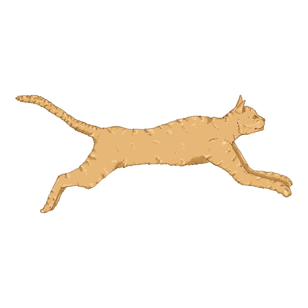 Running Cat. Vector Cartoon Feline Illustration