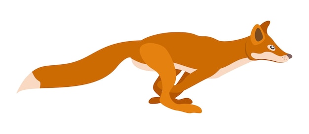 Vector running fox. vector isolated illustration.