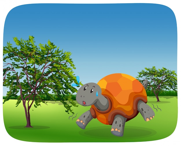 Running turtle in nature scene