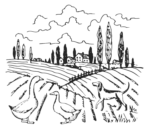 Рисунок сельского поля Эскиз фермы Открытый пейзаж