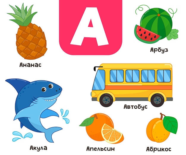 Russian alphabet. Written in Russian - pineapple, watermelon, shark, apricot, bus
