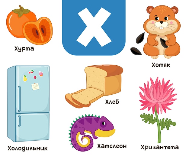 Russian alphabet. written in russian refrigerator, persimmon, hamster, bread, chrysanthemum, chamele