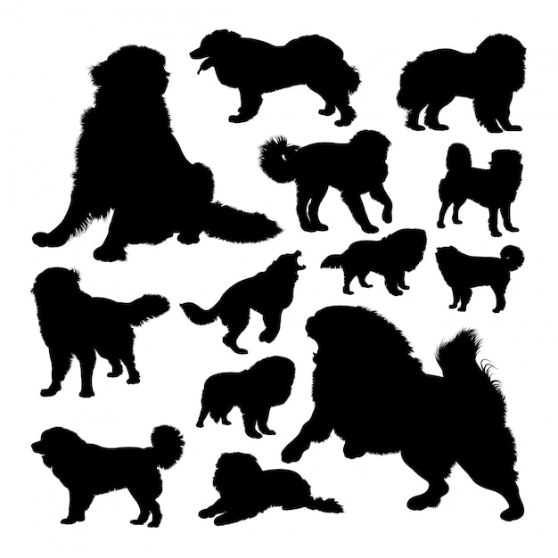 The russian bear dog silhouettes