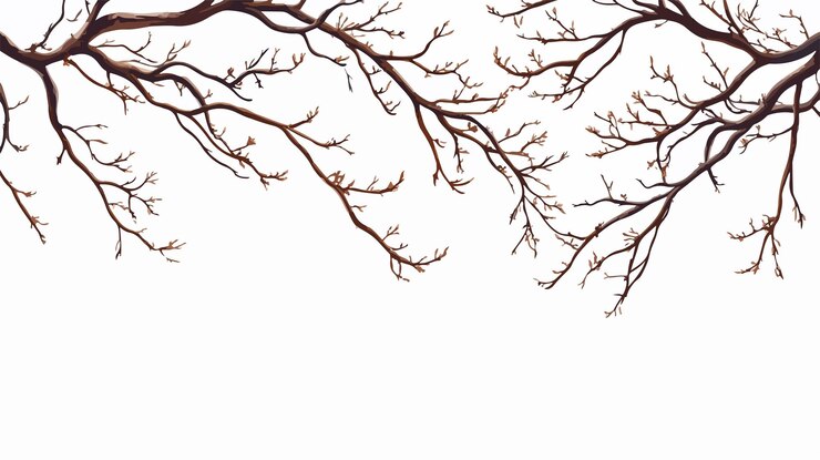 Vector rustic decoration with branches design background for naturethemed projects