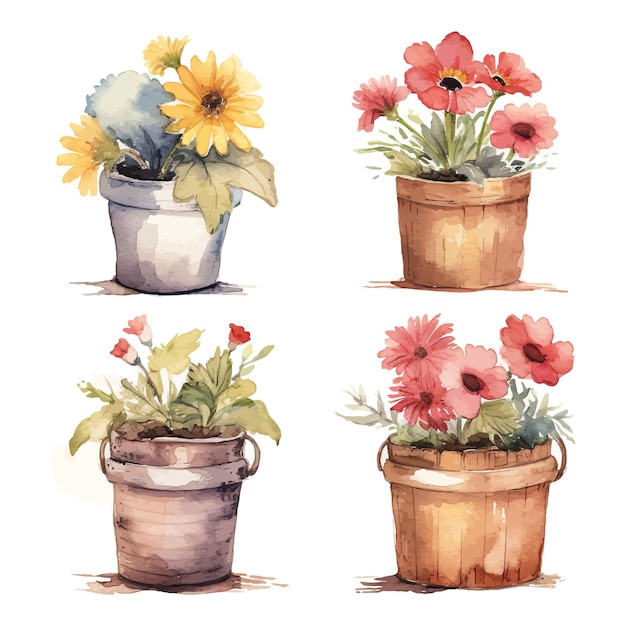 Rustic flower in pot watercolor collection