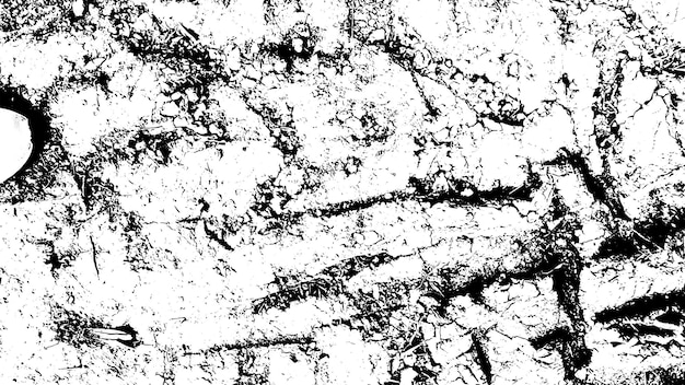 곡물 및 얼룩이 있는 소박한 그루지 벡터 텍스처 추상 노이즈 배경 풍화 표면 더럽고 손상된 자세한 거친 배경 투명 흰색 EPS10이 있는 벡터 그래픽 그림