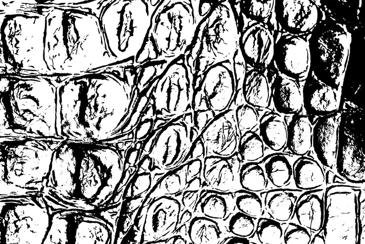 Vector rustic grunge vector textuur met korrels en vlekken abstract ruis achtergrond verweerd oppervlak