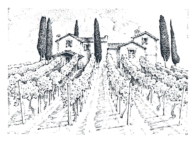 Rustic vineyard. rural landscape with houses. solar tuscany background. fields and cypress trees. harvesting and haystacks.