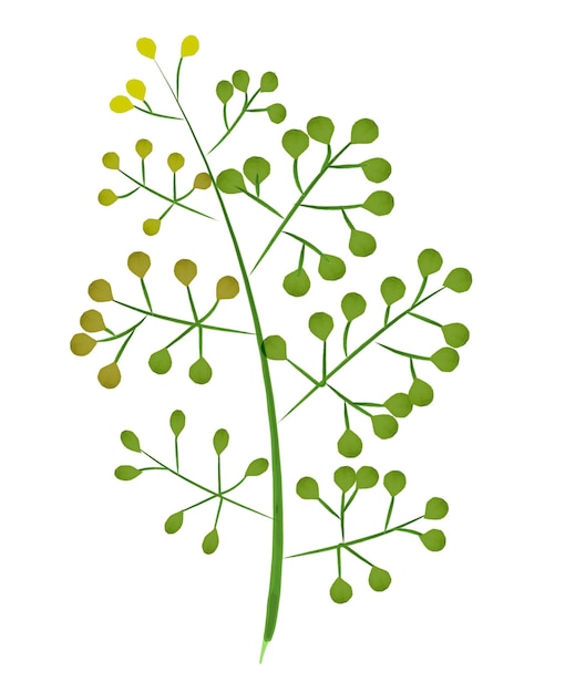 rustic watercolor twig