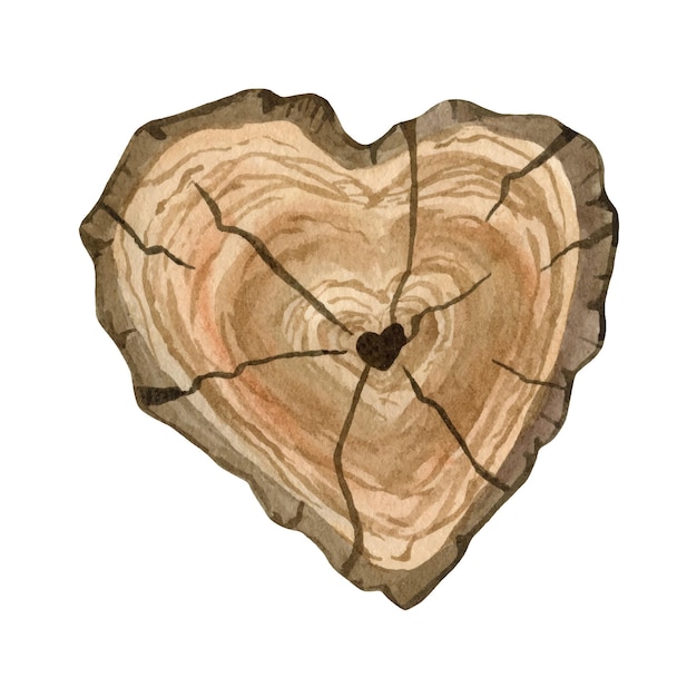 벡터 소박한 나무 조각 클립 아트는 심장 모양으로 그려져 있습니다. 청첩장을 위한 손으로 그린 수채화 클립 아트