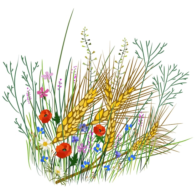 Rustieke vectorillustratie van tarwe, gras en wilde bloemen geïsoleerd op een witte achtergrond.