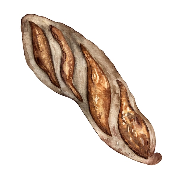 Rye baguette hele aquarel illustratie geïsoleerd op witte achtergrond Met de hand getekende Franse brood voor bakkerij Geschilderd brood Element voor ontwerp signage menu supermarkt verpakking van verpakkingspapier