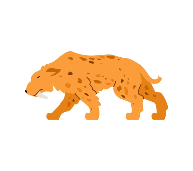 The sabertoothed tiger is a predatory wild animal of prehistoric stone age