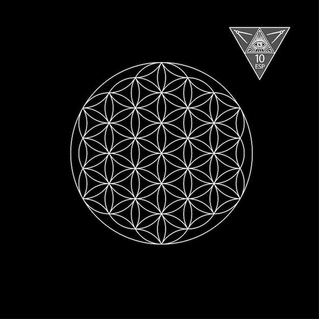 Sacred geometry Vector Illustration isolated on white Sacred geometry White lines on a black background