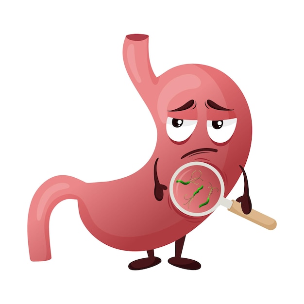 Вектор Печальный персонаж мультфильма с желудком с инфекцией helicobacter pylori под лупой вектор