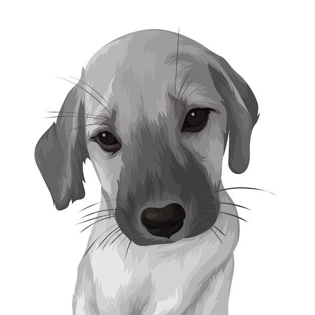 Vector sad dog