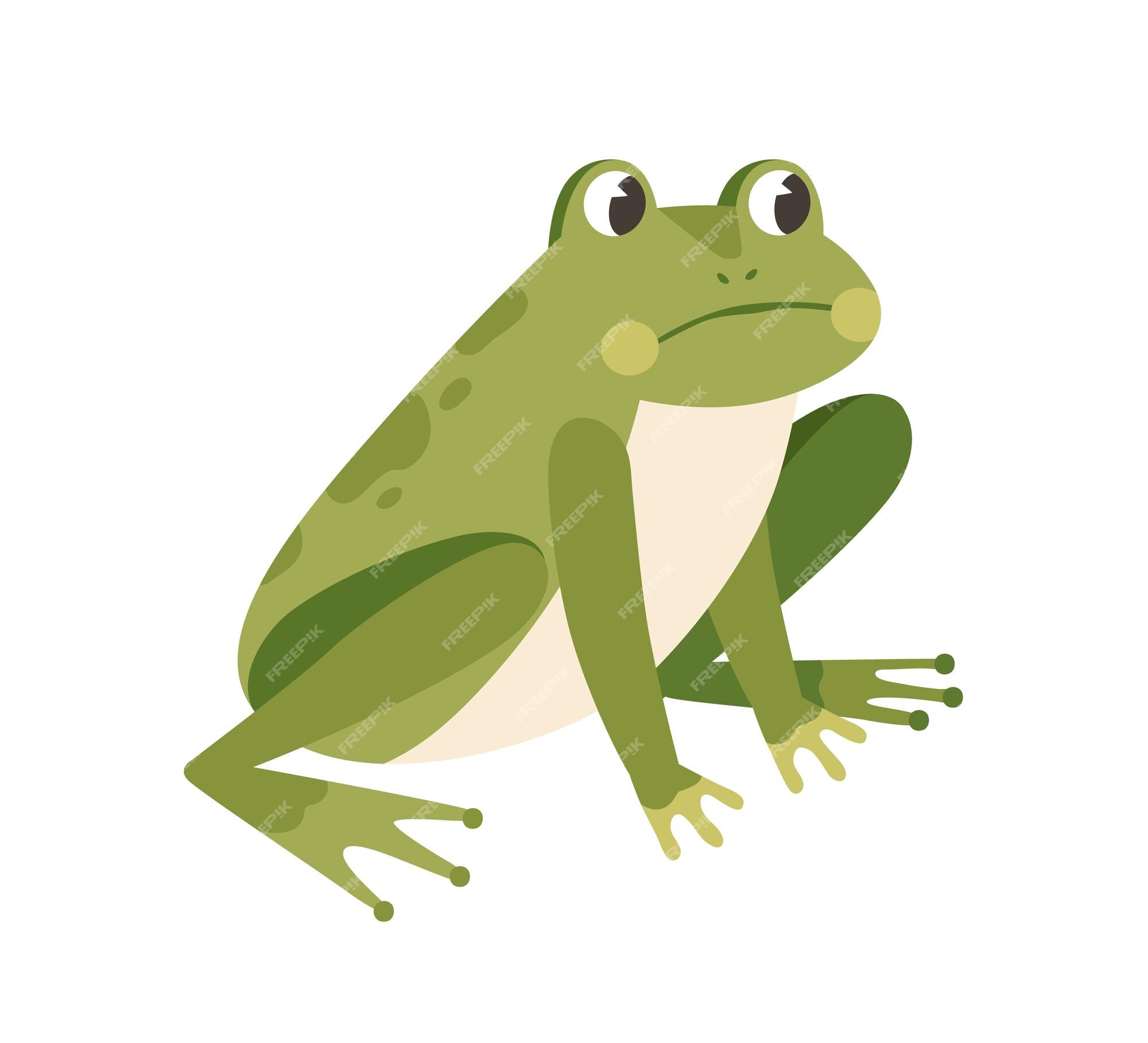 Sad Frog Meme Icon 12721537 Vector Art at Vecteezy