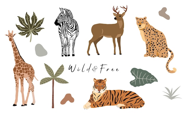 Collezione di oggetti animali safari con leopardo, tigre, zebra, giraffa. illustrazione per icona, adesivo, stampabile