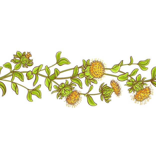 Saffloer plant vector patroon