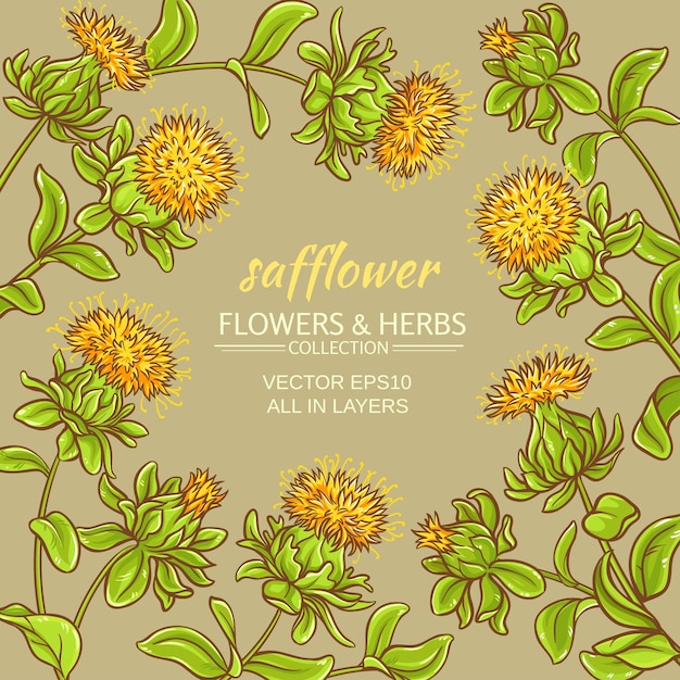 Saffloer vector frame