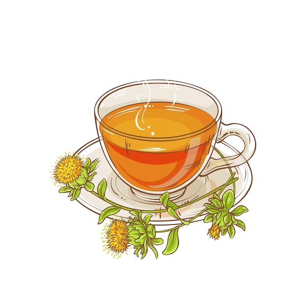 Vector safflower tea illustration