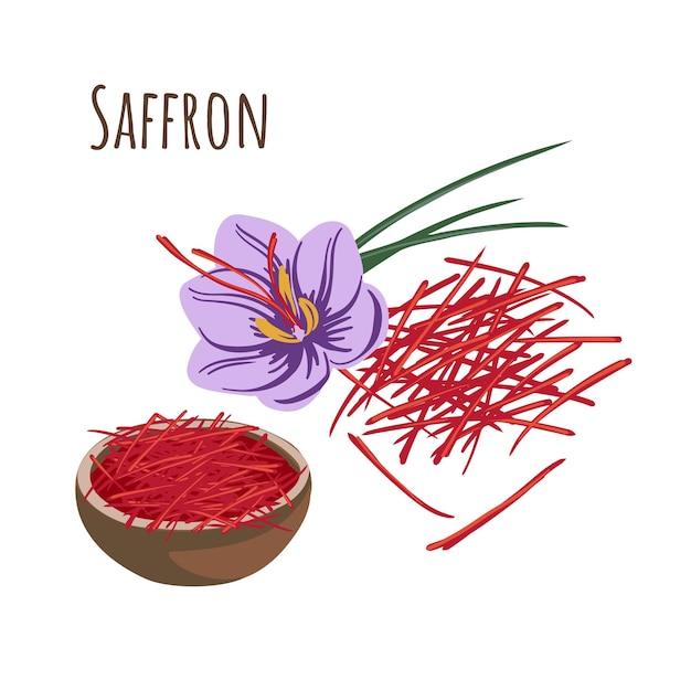 Saffron exotic seasoning with blooming flower and spice bowl. Vector illustration