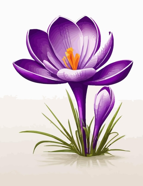 Vector saffron flower