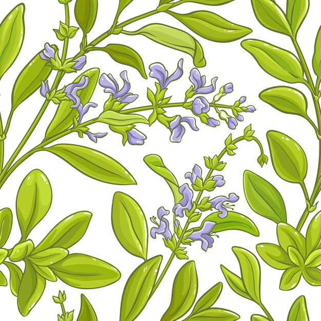 Sage branch vector pattern