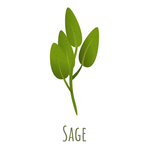 Икона растения сальвия Карикатура векторной иконы растения саливия для веб-дизайна, изолированная на белом фоне