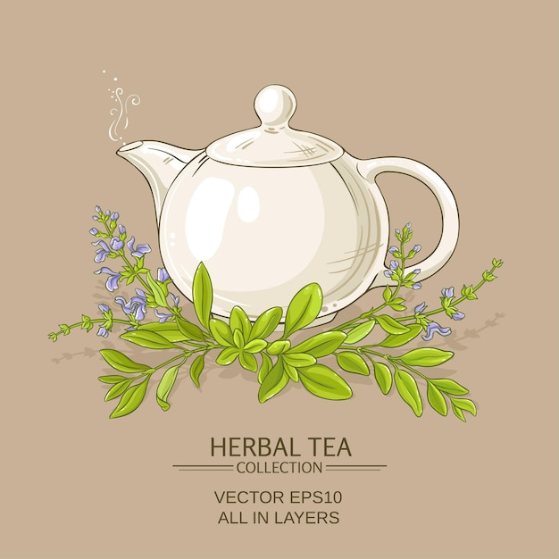 Vector sage tea illustration