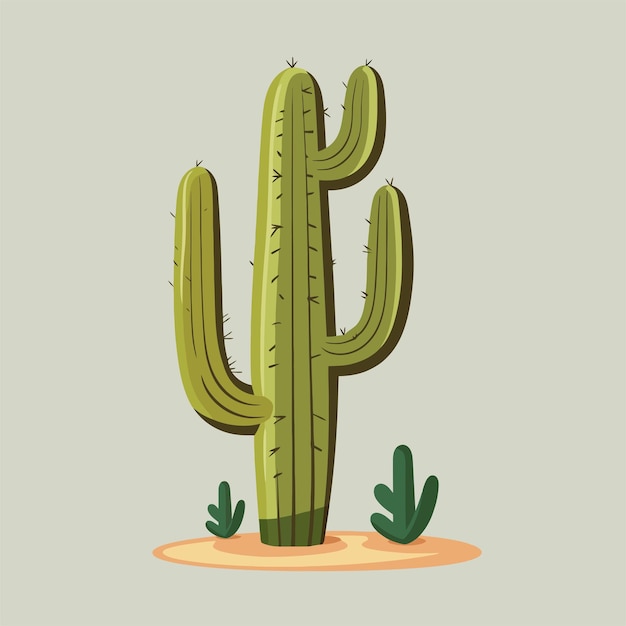 Vector saguaro cactus vector flat illustration