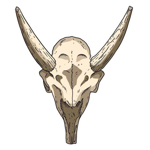 Immagine disegnata a mano del cranio fossilizzato di saiga. disegno di immagine fossile di ossa di animali di antilope cornuta. silhouette vettoriali stock contorno