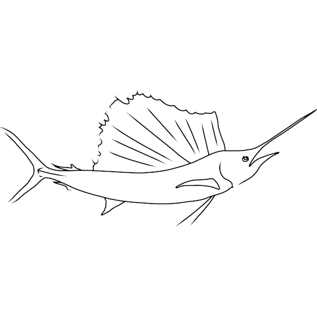 Vector sailfish hand sketched hand drawn vector clipart
