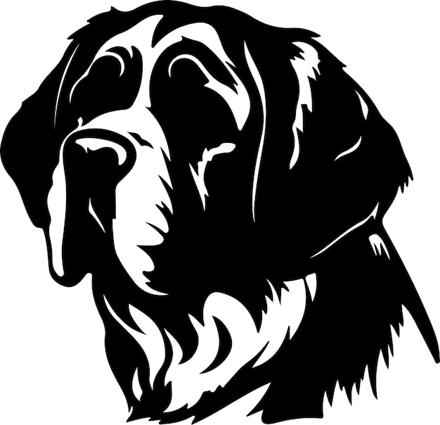 Saint Bernard black silhouette with transparent background