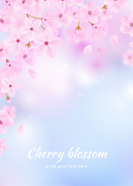 Sakura background