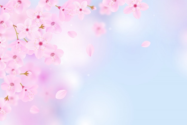 Sakura background