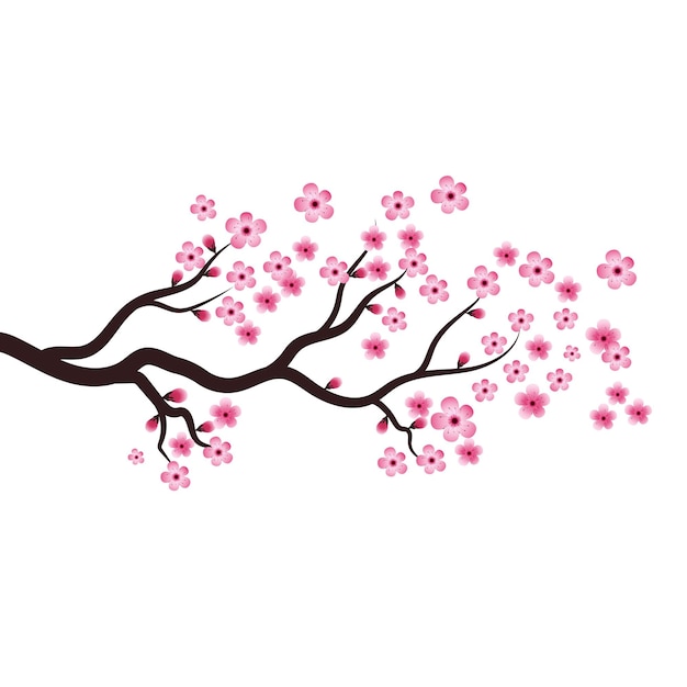 Sakura Beauty flower Vector icon